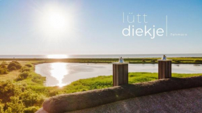 Ferienhaus Lütt Diekje 9254 - Fehmarn